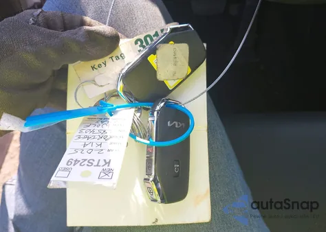 2025 Kia Sportage X-Line from USA, damaged, VIN 5XYK6CDF2SG285403